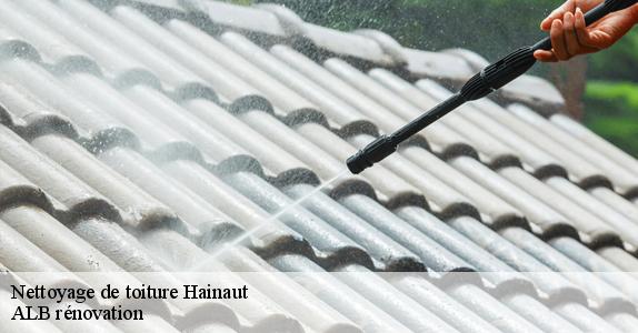 Nettoyage de toiture HA Hainaut  ALB rénovation