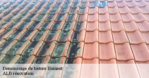Demoussage de toiture HA Hainaut  ALB rénovation