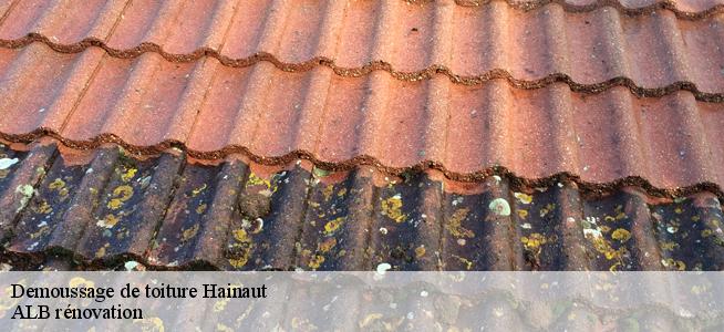 Demoussage de toiture Hainaut 