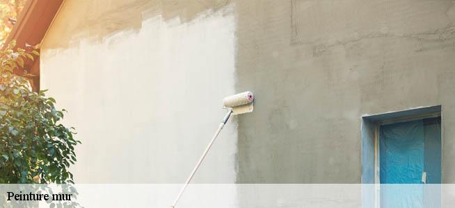 Peinture mur Hainaut 