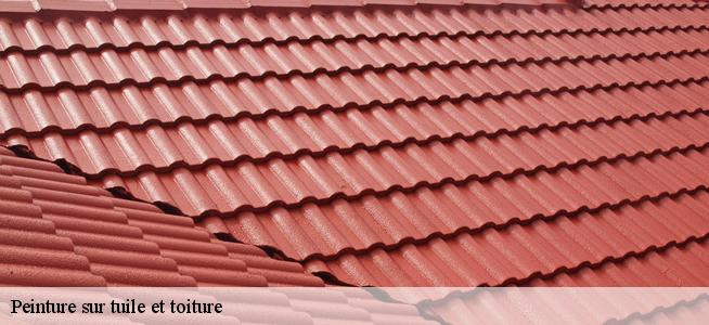 Peinture sur tuile et toiture  6110