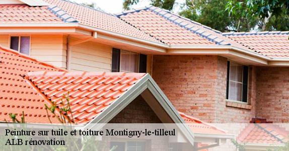 Peinture sur tuile et toiture  montigny-le-tilleul-6110 ALB rénovation