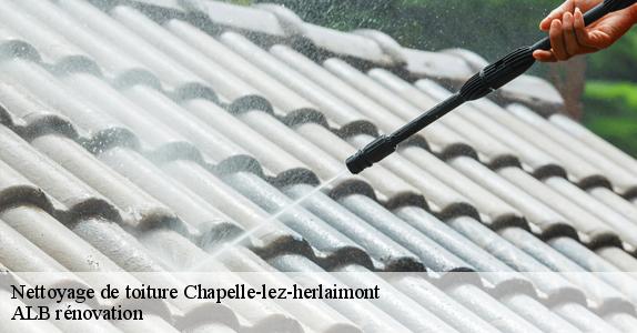 Nettoyage de toiture  chapelle-lez-herlaimont-7160 ALB rénovation