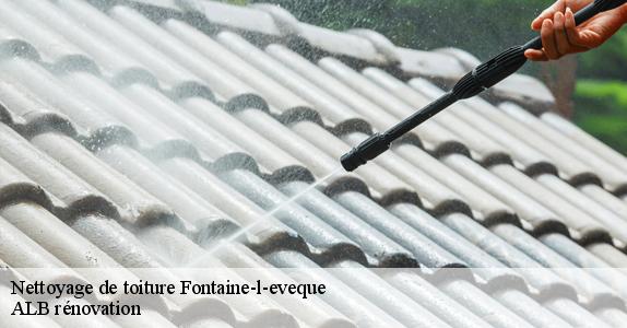 Nettoyage de toiture  fontaine-l-eveque-6140 ALB rénovation