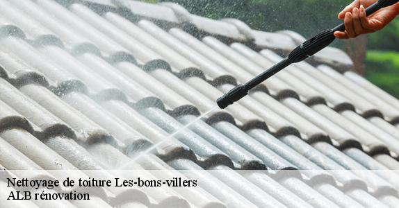 Nettoyage de toiture  les-bons-villers-6210 ALB rénovation