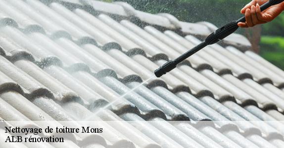 Nettoyage de toiture  mons-7000 ALB rénovation