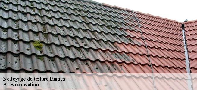 Nettoyage de toiture  7618