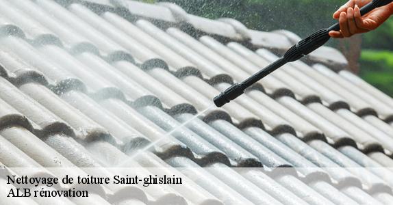 Nettoyage de toiture  saint-ghislain-7333 ALB rénovation
