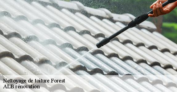 Nettoyage de toiture  forest-1190 ALB rénovation