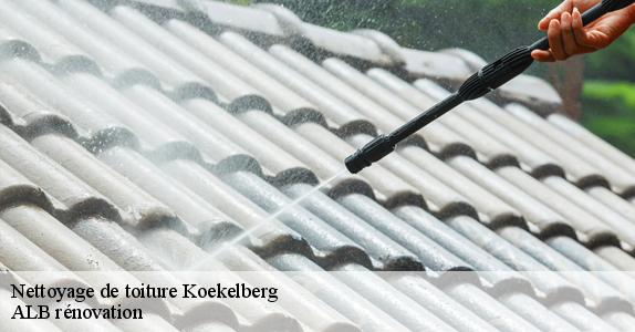 Nettoyage de toiture  koekelberg-1081 ALB rénovation