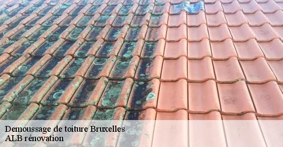 Demoussage de toiture  bruxelles-1000 ALB rénovation