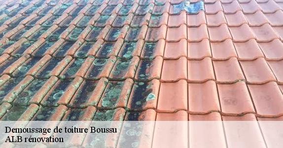 Demoussage de toiture  boussu-7300 ALB rénovation