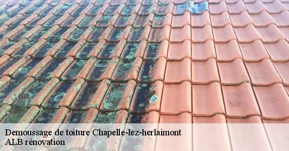 Demoussage de toiture  chapelle-lez-herlaimont-7160 ALB rénovation