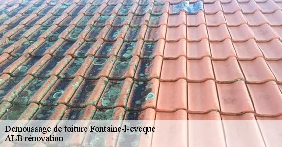 Demoussage de toiture  fontaine-l-eveque-6140 ALB rénovation