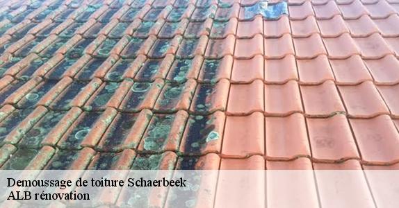 Demoussage de toiture  schaerbeek-1030 ALB rénovation