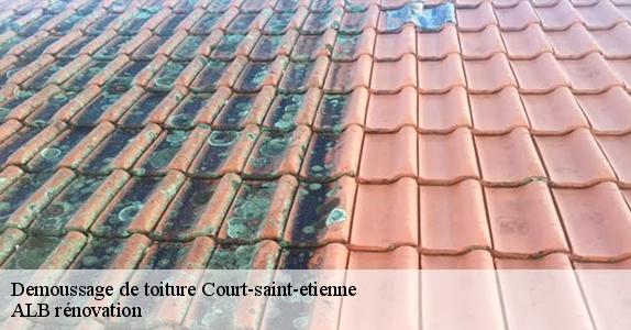 Demoussage de toiture  court-saint-etienne-1490 ALB rénovation