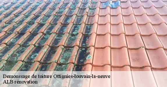 Demoussage de toiture  ottignies-louvain-la-neuve-1340 ALB rénovation