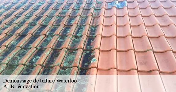 Demoussage de toiture  waterloo-1410 ALB rénovation