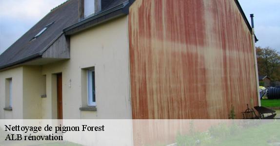 Nettoyage de pignon  forest-1190 ALB rénovation