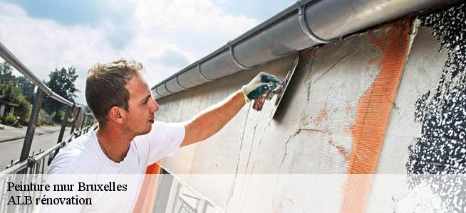 Peinture mur  1000