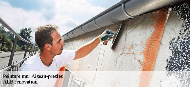 Peinture mur  6250