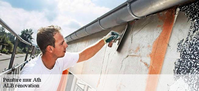 Peinture mur  7800