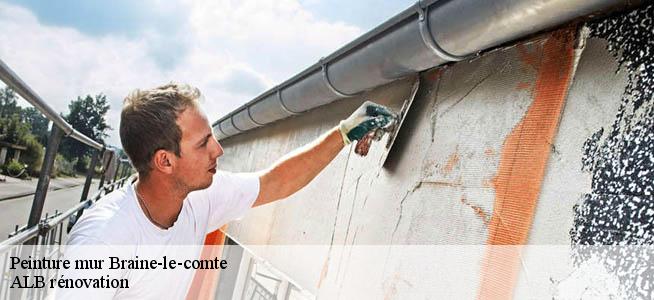 Peinture mur  7090