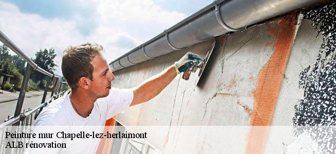 Peinture mur  7160