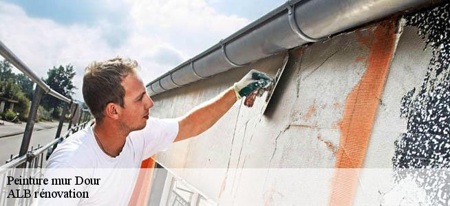 Peinture mur  7370